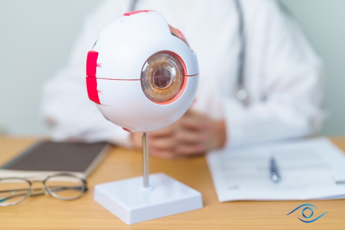 המקולה - דר אפרים ברקו